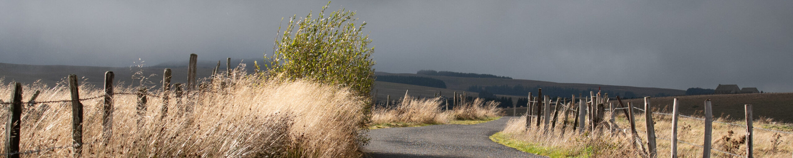 Béa photographies